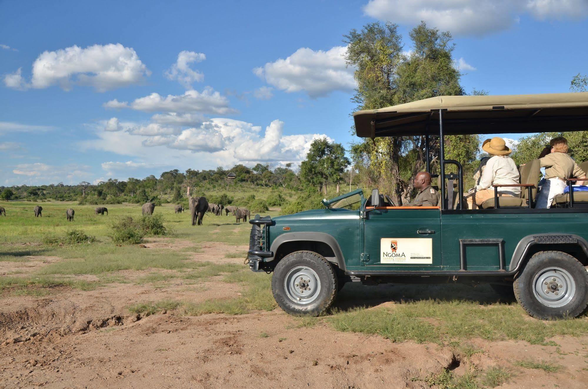 Ngoma Safari Lodge Kavimba Exterior photo